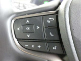 インパネメーターの車両情報を切り替えやオーディオの操作もステアリングスイッチでできます。