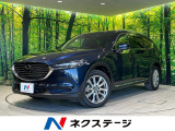 レーダークルーズ 全周囲カメラ パワーバックドア ETC フルセグ