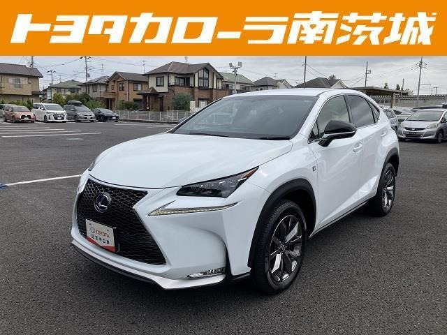 NX 300h Fスポーツ 