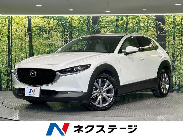 CX-301.8 XD Lパッケージ