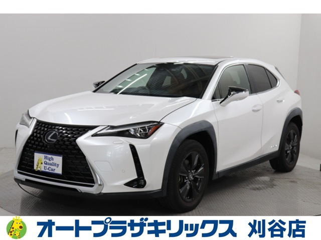 UX250hブラウン エディション