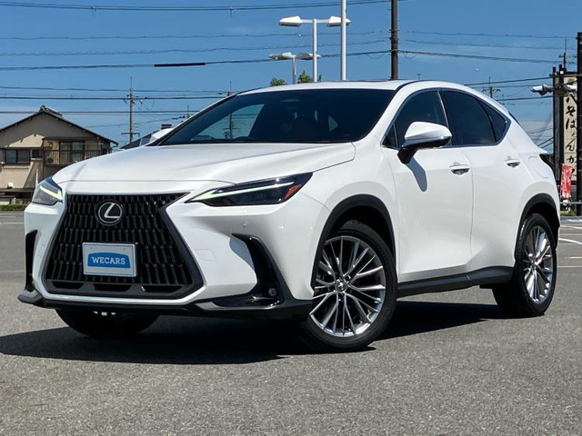 NX250 バージョンL