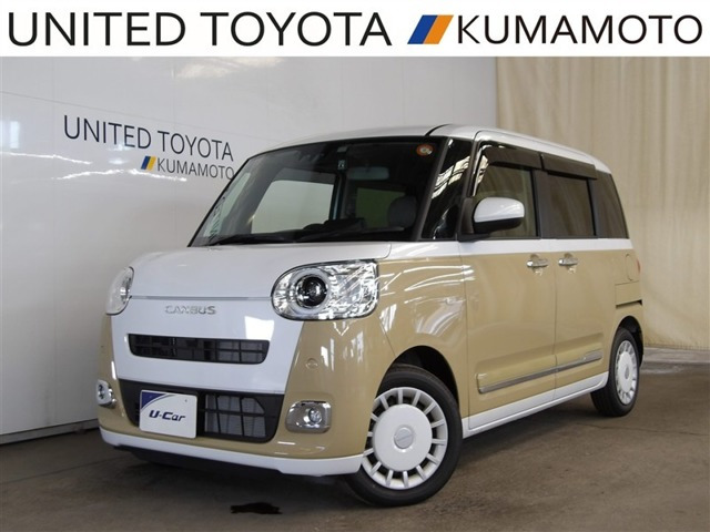 ムーヴキャンバス  ストライプス G