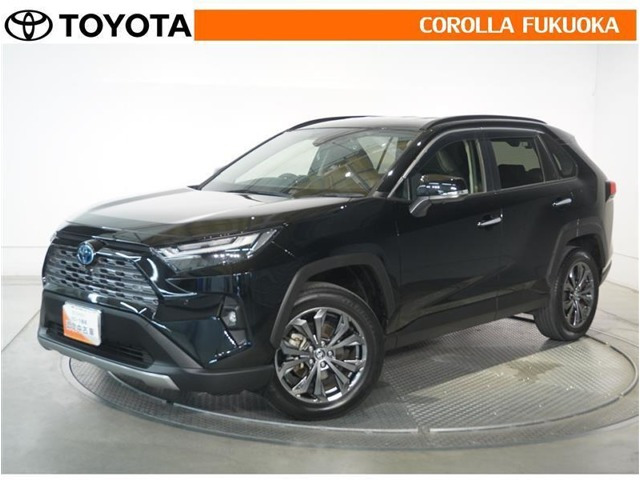 RAV4 2.5 ハイブリッド G E-Four 4WD （6AA-AXAH54）