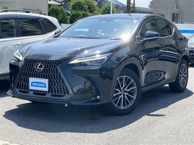 NX250 バージョンL
