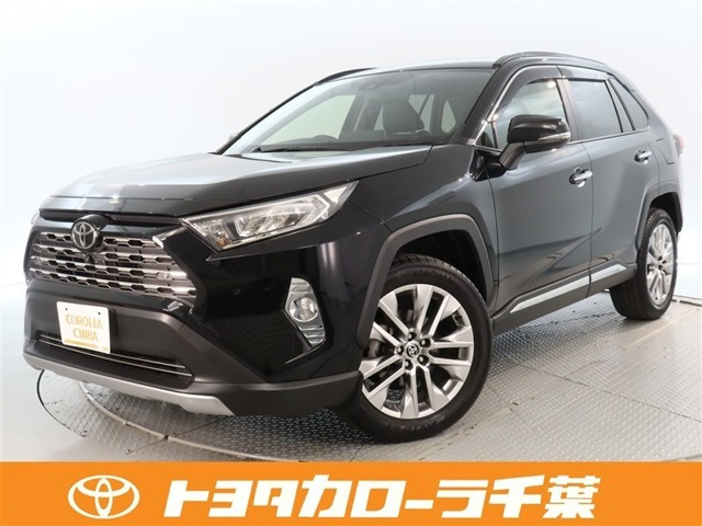 RAV4 2.0 G Zパッケージ 4WD（6BA-MXAA54）
