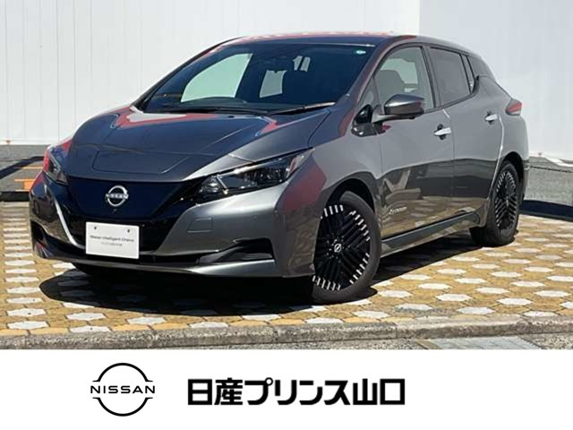 リーフ  X Vセレクション