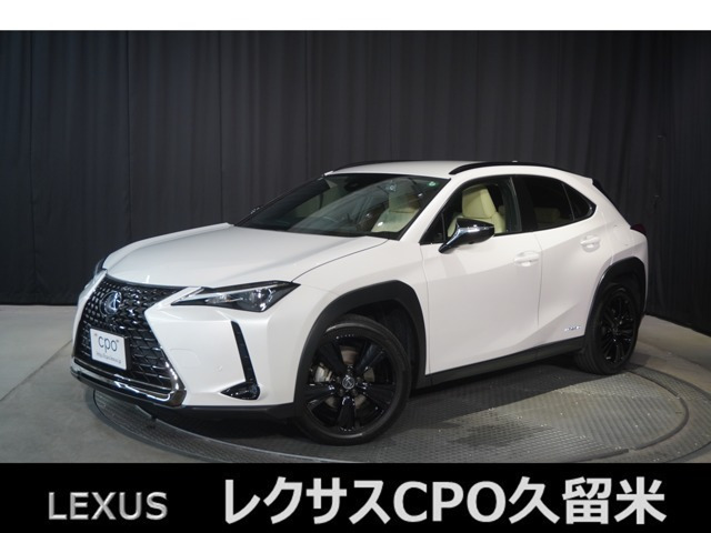 UX 250h 