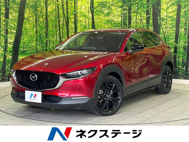 CX-301.8 XD ブラックトーンエディション