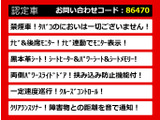 エルグランド 2.5 250ハイウェイスター プレミアム 