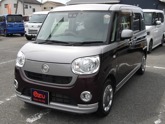 ムーヴキャンバス G メイクアップ リミテッド SAIII 