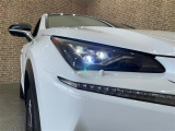 NX 300 Fスポーツ 4WD 本革シート