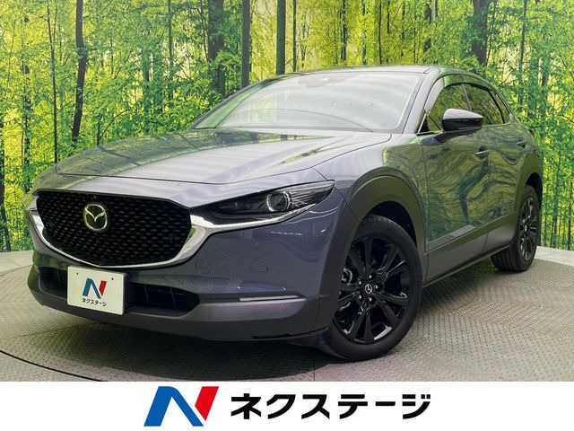 CX-301.8 XD ブラックトーンエディション