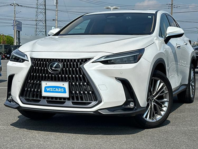 NX 250 バージョンL 