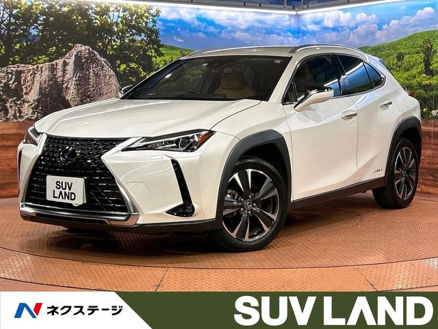 UX 250h バージョンC 