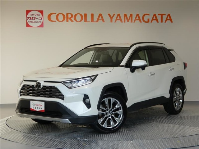 RAV4  2.0 G Zパッケージ 4WD