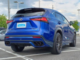 NX 300h Fスポーツ 