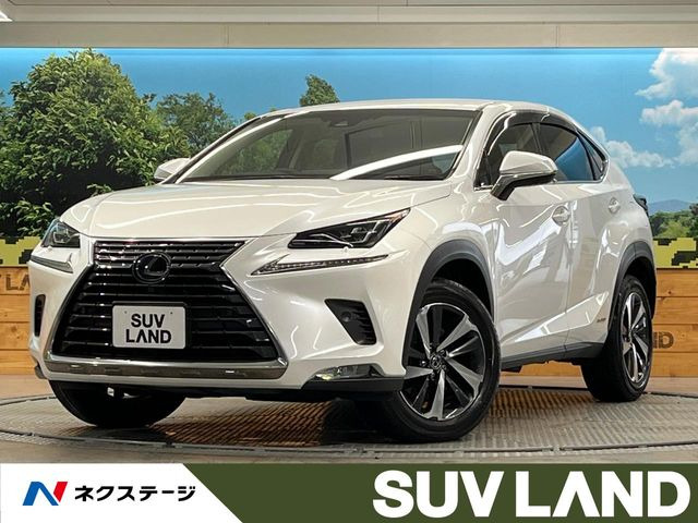 NX 300h バージョンL 