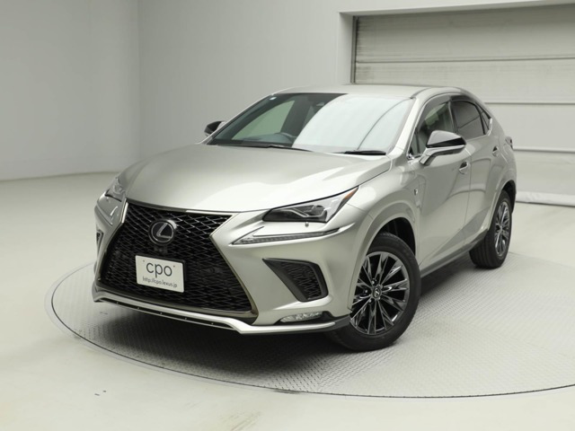 NX300h アーバンスタイルクール&ブライト