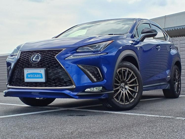 NX300h Fスポーツ
