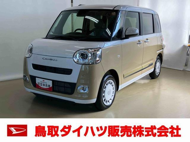 ムーヴキャンバス ストライプス G