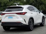 NX 250 バージョンL 