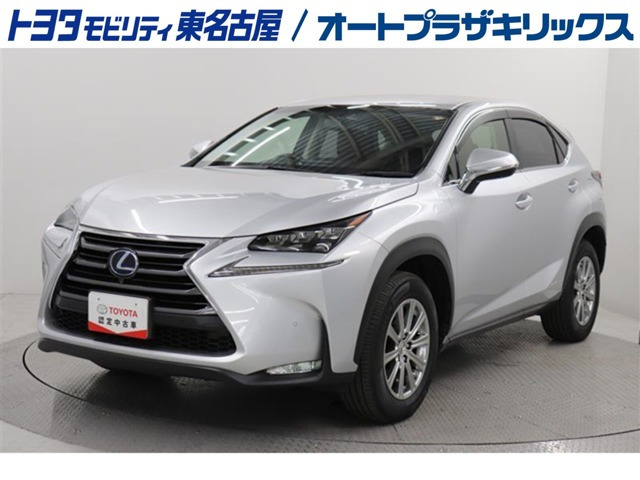 NX300h Iパッケージ 4WD