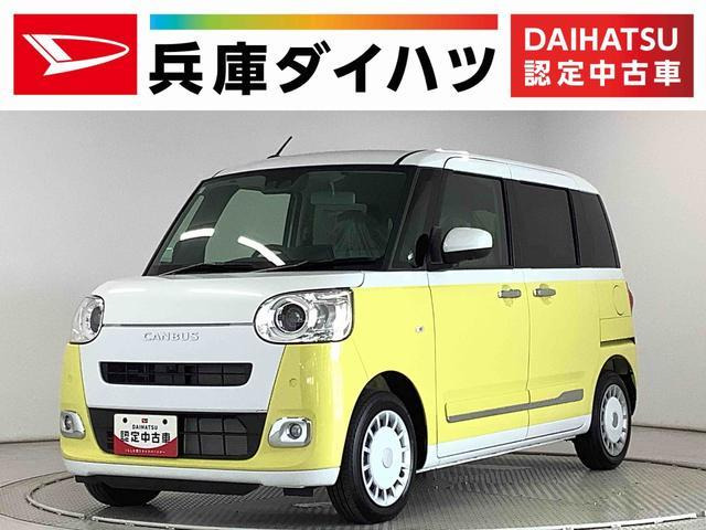 ムーヴキャンバスストライプス G