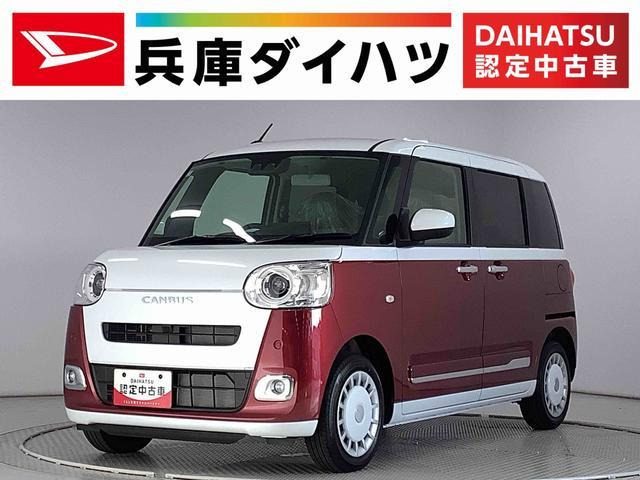 ムーヴキャンバス ストライプス G