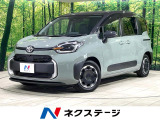 両側電動スライドドア ハイブリッド 全周囲カメラ AC100V電源