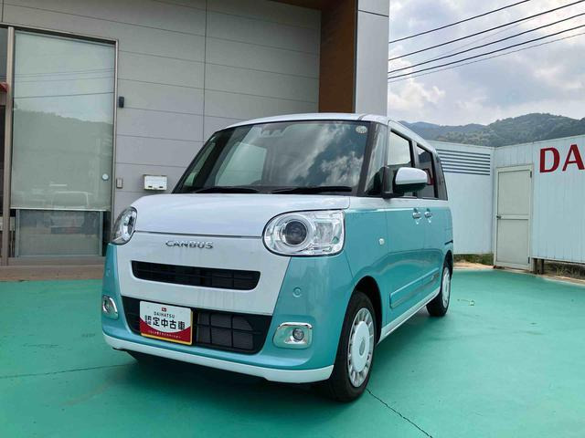 ムーヴキャンバス  ストライプス G