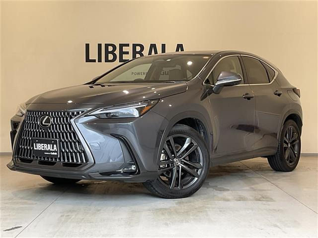 NX 250 バージョンL 本革シート サンルーフ