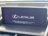 NX 300 スパイス&シック 