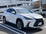 NX 250 バージョンL NX 250 バージョンL
