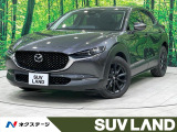 禁煙車 純正10型ナビ 全周囲カメラ レーダークルーズ 電動リアゲート