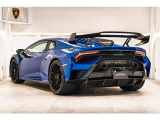 Snorkel and Rear Wing in Carbon Shiny