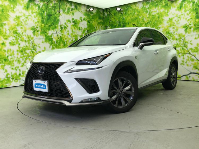 NX300h Fスポーツ