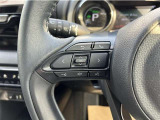 ステアリングスイッチ付き。前方から目を離すことなく操作することが可能です。