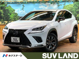 純正10型ナビ 全周囲カメラ レーダークルーズ 黒革シート 黒革 ETC