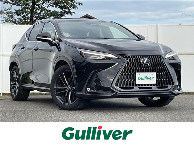 NX250 バージョンL 4WD4WD 本革シート