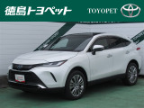 大人気のプラチナホワイトパールマイカが入庫しました!