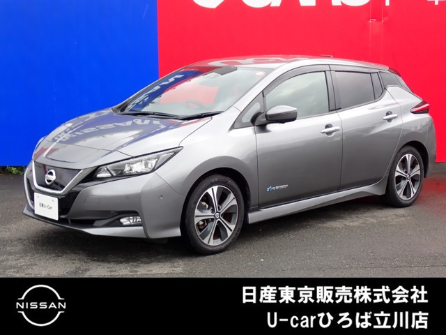 リーフ G 