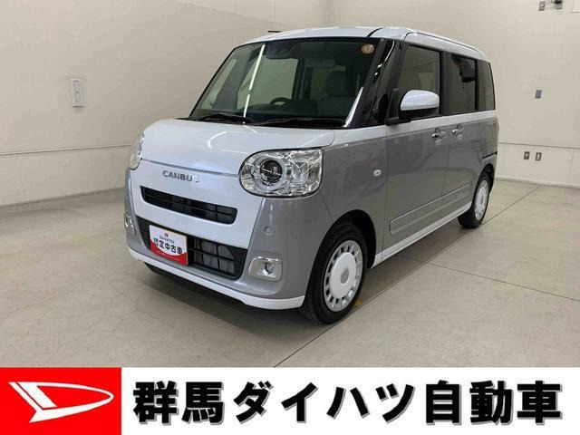 ムーヴキャンバス  ストライプス G