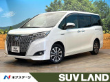 純正9インチナビ 両側電動スライドドア フリップダウンモニター