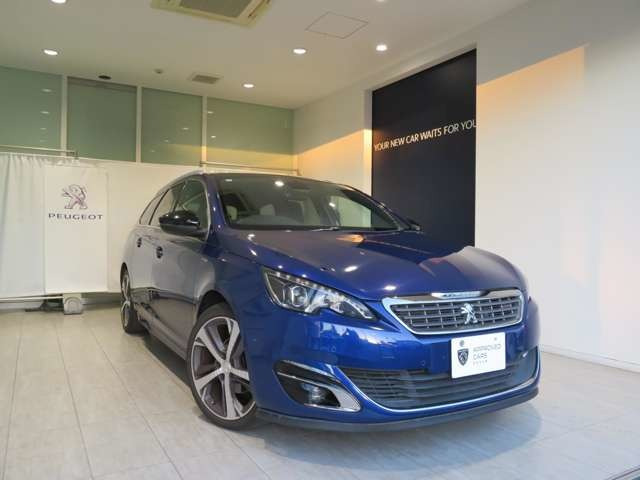 308SWGTライン