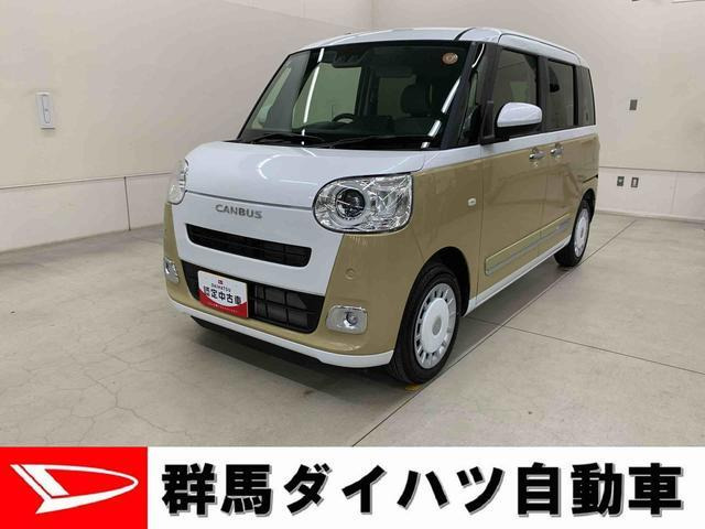 ムーヴキャンバス ストライプス G