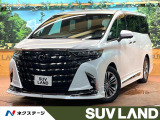 フリップダウン 純正14型ナビ 全周囲カメラ ブラインドスポットモニター