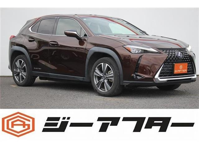 UX 300e バージョンL ワンオーナー/純正ナビ/地デジ/全周囲カメ