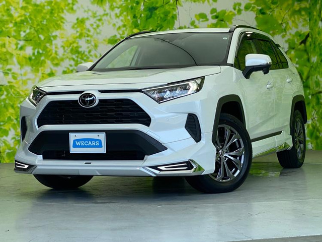 RAV42.0 X