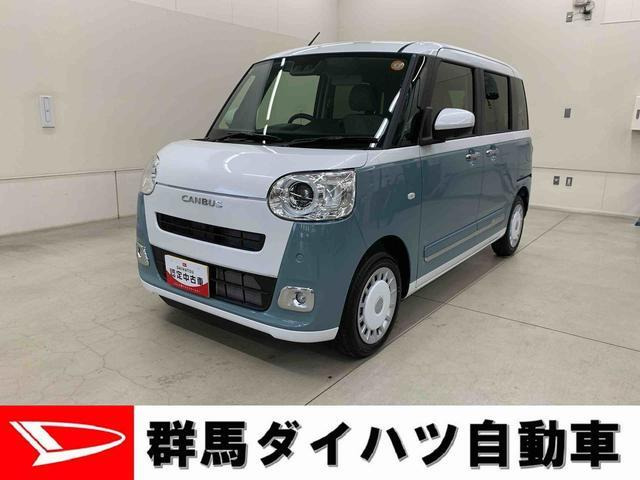 ムーヴキャンバス  ストライプス G